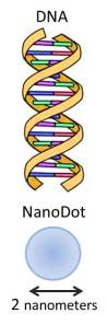 The diameter of a nanodot used in this charging device is the same as the diameter of DNA!